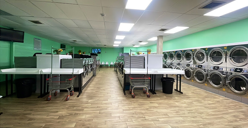 Dina Washateria in Pasadena