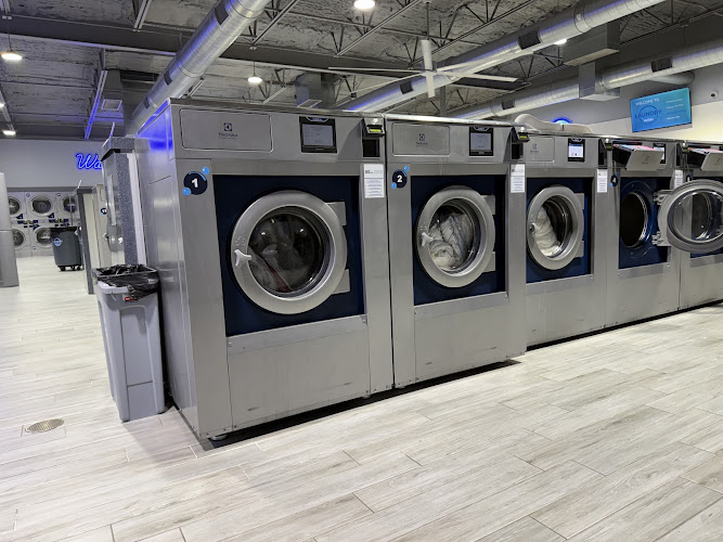 Laundry Wish - Cypress in Cypress