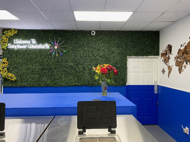Sunflower Washateria in Houston